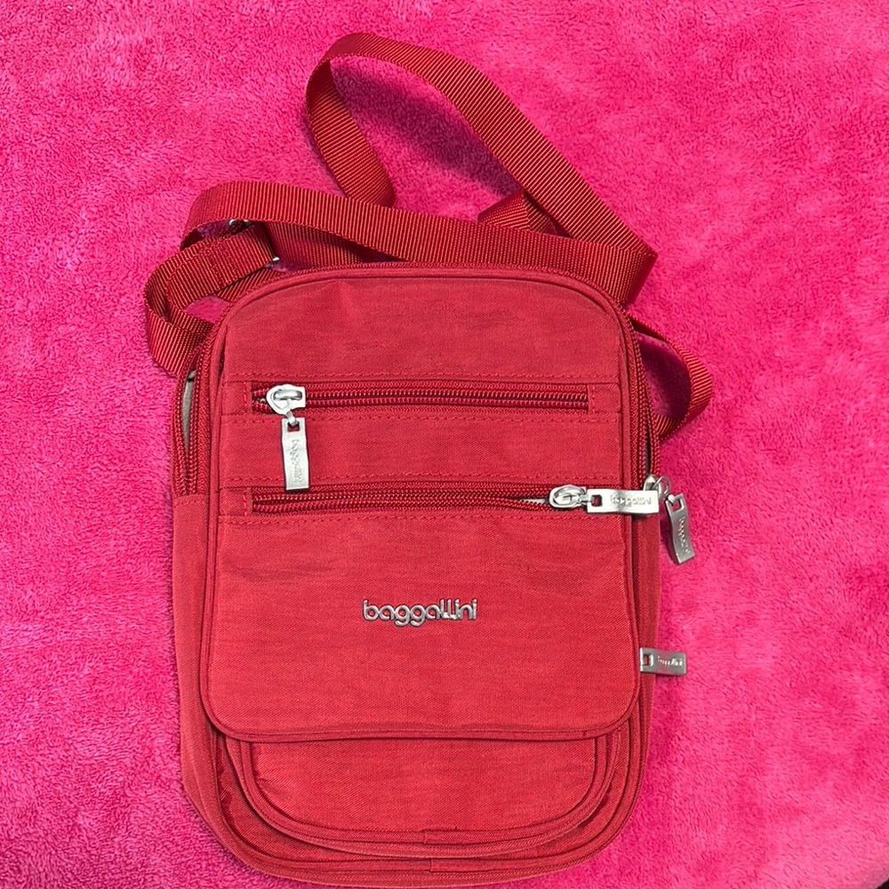 Baggalini Small Purse Multi Compartment